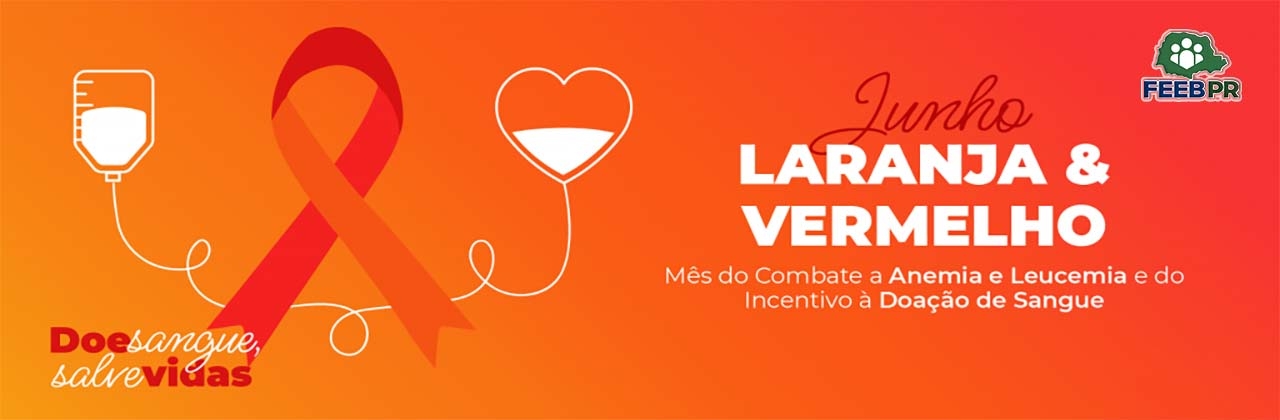 Junho Vermelho e Laranja 