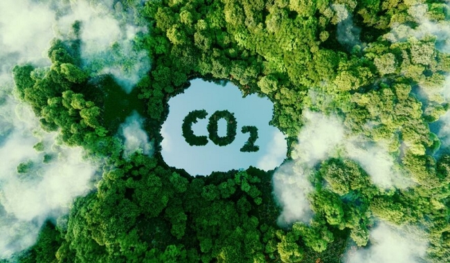 Banco do Brasil expande mercado de carbono e aumenta área protegida