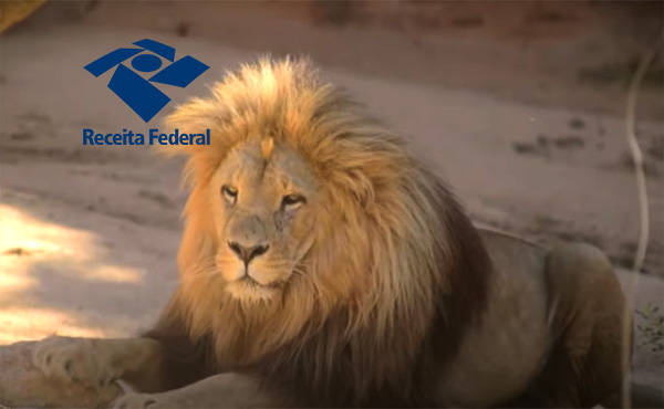 Proposta que vai garantir isenção do IR a quem ganhe até R$ 5 mil de forma permanente é aprovada